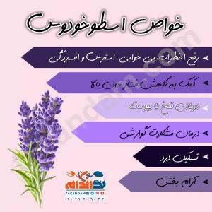 خواص اسطوخودوس
